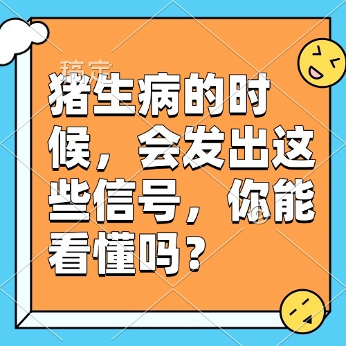 猪生病的时候，会发出这些信号，你能看懂吗？
