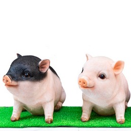 学会这20个养猪关键技术！让你养的猪多产仔、多出栏、多赚钱