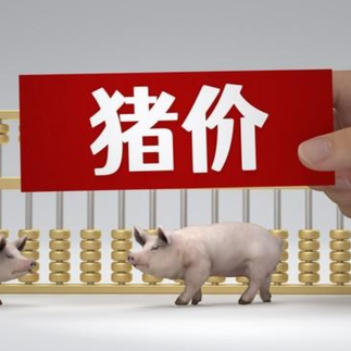 1月21日猪价｜小幅下调，震荡调整！