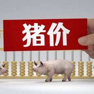 1月22日猪价｜稳中伴跌，市场情绪有偏弱表现！