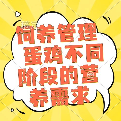 饲养管理  蛋鸡不同阶段的营养需求