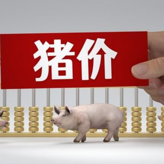 1月23日猪价｜北方局地反弹上涨，中大猪坚挺！