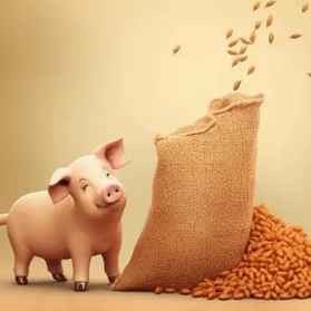 猪泪斑眼屎诊断指南：看分泌物，辨猪病