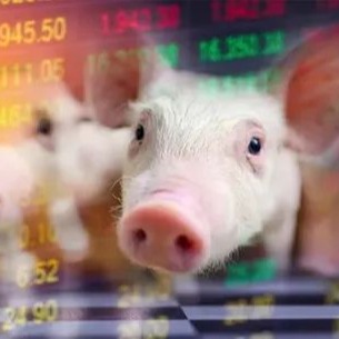 涨涨涨！24 省猪价集体飘红，春节前能破 7 ？
