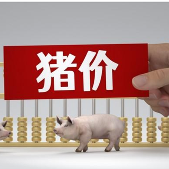 1月26日猪价｜稳中涨跌调整，局部微降！