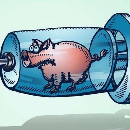 口蹄疫免疫三问：为何要打加强针？剂量越高越好吗？