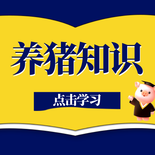 母猪为何会拒绝哺乳？母猪咬仔的原因是啥？