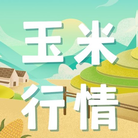 一边放量拍卖一边溢价抢粮，春节前玉米行情成迷？