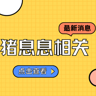 春节前猪价站上13元震荡！还能再涨吗？答案就一个
