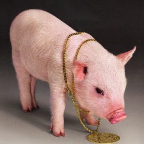 国外猪场七大技术，你的猪场能用几条？