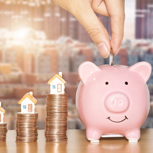 出栏，养殖户如何把握节前窗口期 | 2026年锚定科技绿色提质