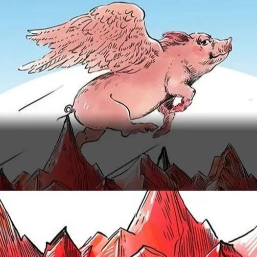 猪价跌破5.5元/斤仍有人赚疯！到底养的什么猪？