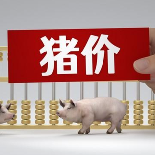 1月30日猪价｜继续走弱，大场下调4毛！