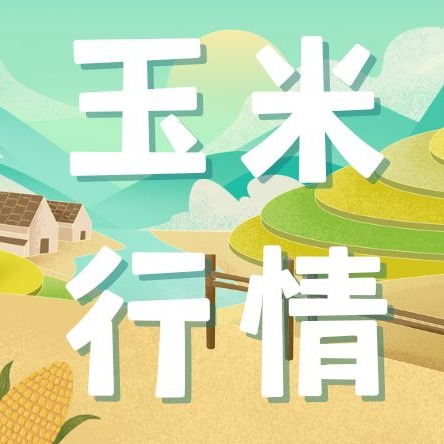 2025饲料玉米产量、用量双增，2026或因畜禽产能调整用量存降预期