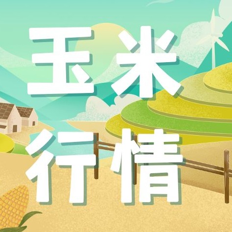 2026年1月30日全国各省市玉米价格行情，春节前玉米价格或难有实质性起落的基础？