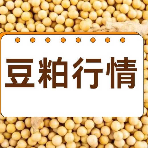 2026年1月30日全国各省市豆粕价格行情，短期豆粕价格大概率维持区间震荡走势？