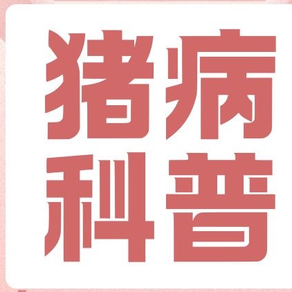 猪增生性回肠炎与猪痢疾的临床鉴别与用药