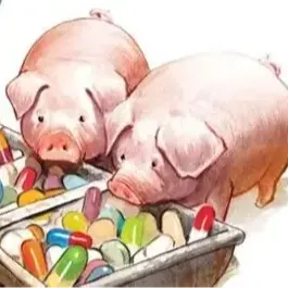 猪用药剂量的计算