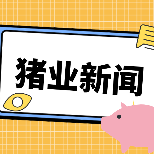 罕见！&ldquo;先订先得&rdquo;成常态，抢仔猪比抢货还难？