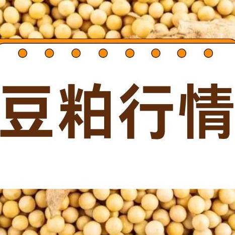 2026年1月31日全国各省市豆粕价格行情，短暂豆粕价格以区间震荡为主，春节前或易涨难跌！