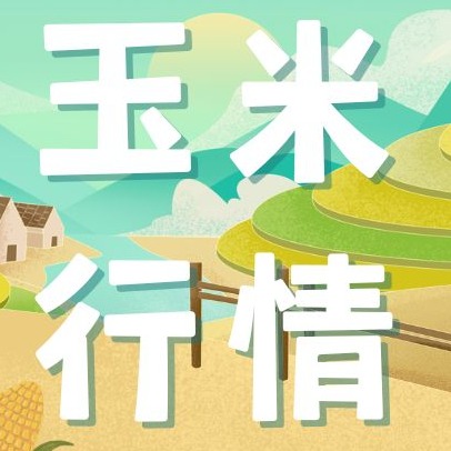 2026年1月31日全国各省市玉米价格行情，春节前玉米报价或维持小幅拉锯的走势？