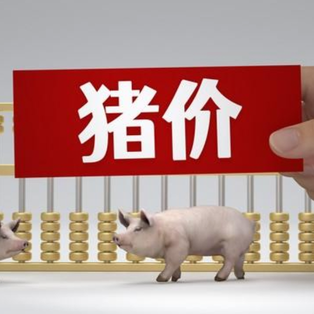 2月1日猪价｜稳定为主，局部涨跌调整！