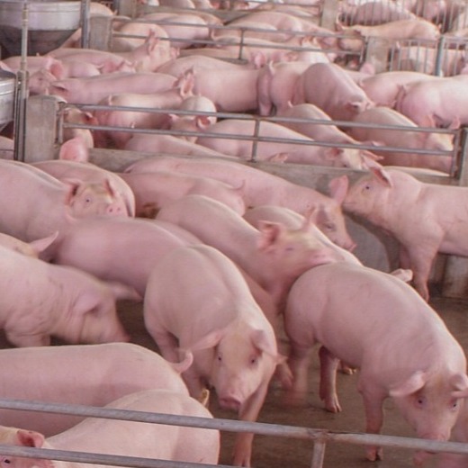 &ldquo;三瓶吊针&rdquo;的作用及具体配制