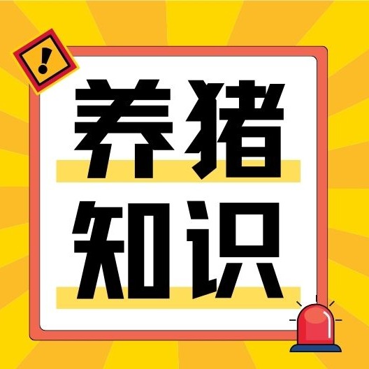 猪场生物安全五大管控要点，缺一不可！