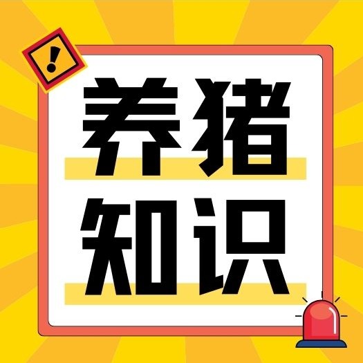 猪血痢、黑痢，密螺旋体痢疾的防治措施！