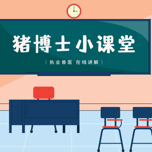 猪病用药的5个误区和相关使用技巧，超详细！