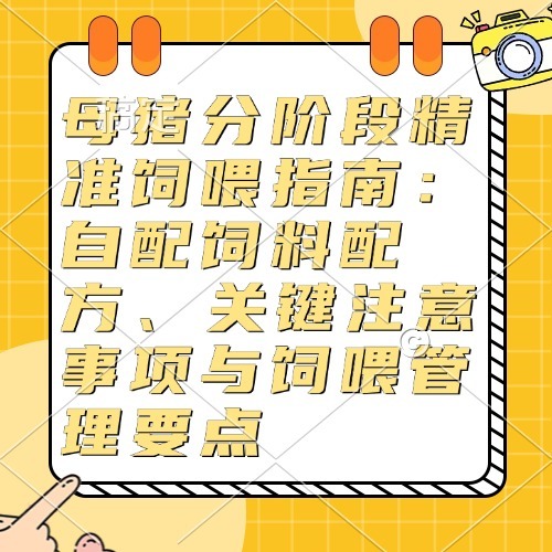 母猪分阶段精准饲喂指南：自配饲料配方、关键注意事项与饲喂管理要点