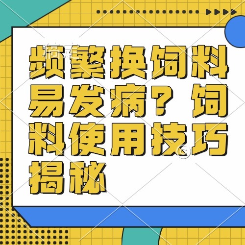频繁换饲料易发病？饲料使用技巧揭秘