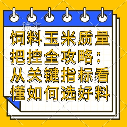 饲料玉米质量把控全攻略：从关键指标看懂如何选好料