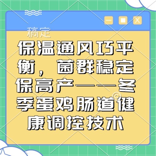 保温通风巧平衡，菌群稳定保高产&mdash;&mdash;冬季蛋鸡肠道健康调控技术
