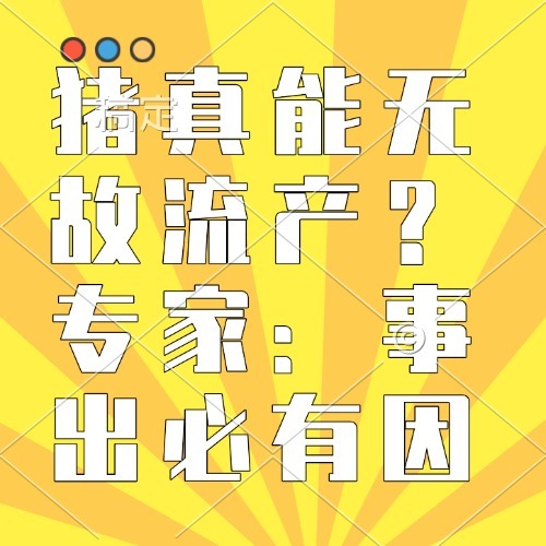 猪真能无故流产？专家：事出必有因
