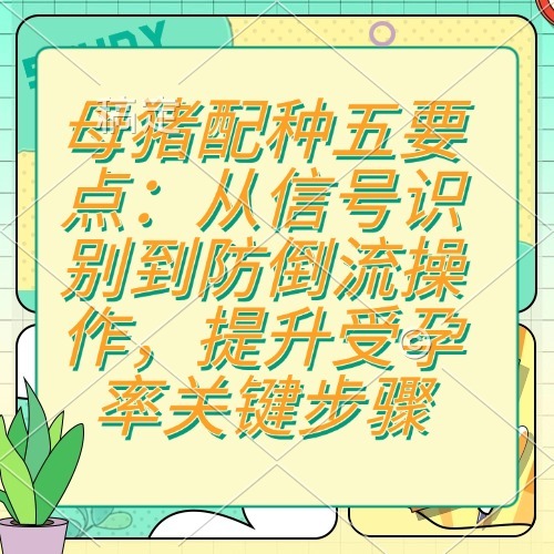 母猪配种五要点：从信号识别到防倒流操作，提升受孕率关键步骤