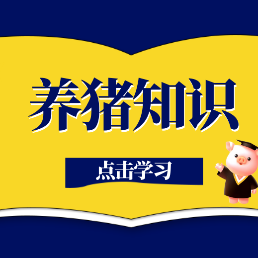 母猪产后消炎全攻略，建议收藏！