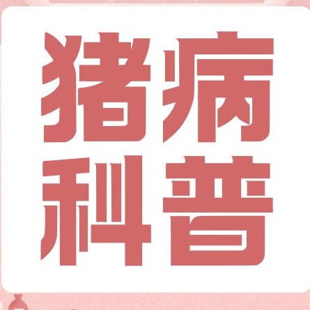 新生仔猪精细化管理：从出生到初乳的全方位呵护