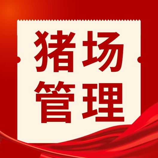 母猪保健三阶段，养好母猪不费力