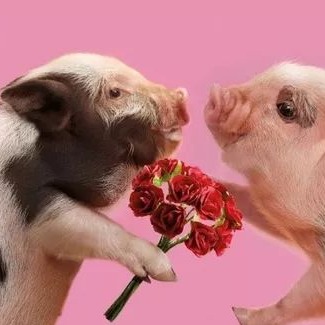 重磅解读！从中央一号文件看养猪行业2026年两大趋势