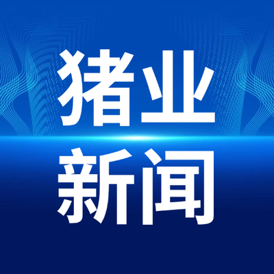 养殖端加速出栏，屠宰场迎备货高峰！