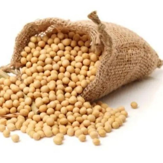 40%饲料都是假的！养牛人该如何分辨真假饲料？