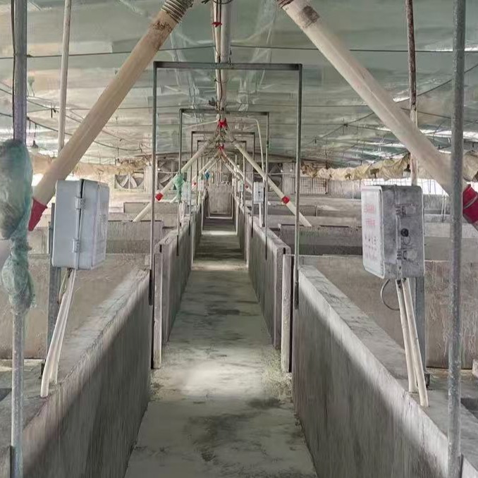 2026年推动生猪产业全链条&ldquo;节本提质增效&rdquo;