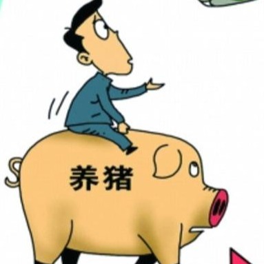 猪场烯丙孕素的正确使用方法