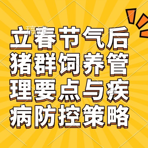 立春节气后猪群饲养管理要点与疾病防控策略
