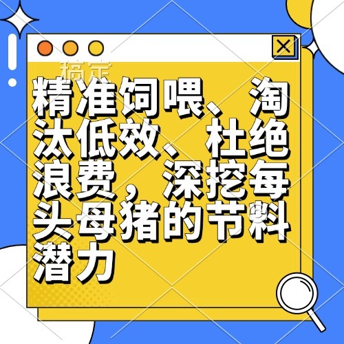 精准饲喂、淘汰低效、杜绝浪费，深挖每头母猪的节料潜力