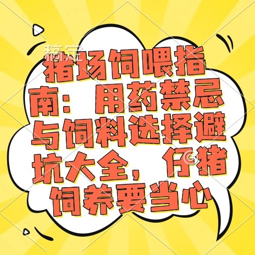 猪场饲喂指南：用药禁忌与饲料选择避坑大全，仔猪饲养要当心