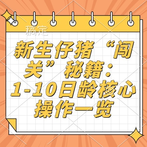 新生仔猪&ldquo;闯关&rdquo;秘籍：1-10日龄核心操作一览