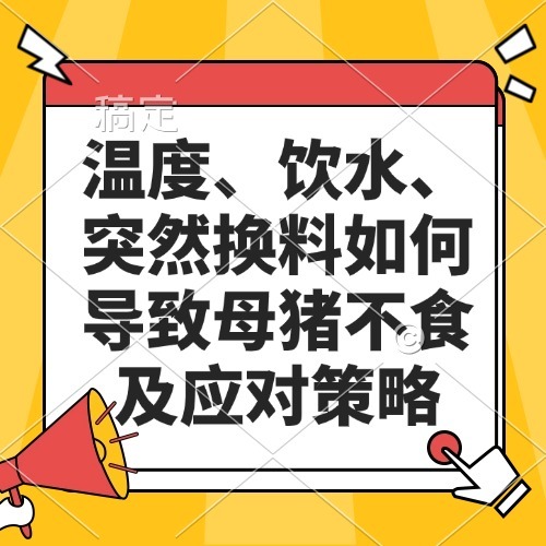 温度、饮水、突然换料如何导致母猪不食及应对策略