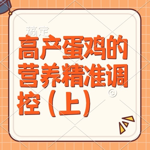 高产蛋鸡的营养精准调控（上）